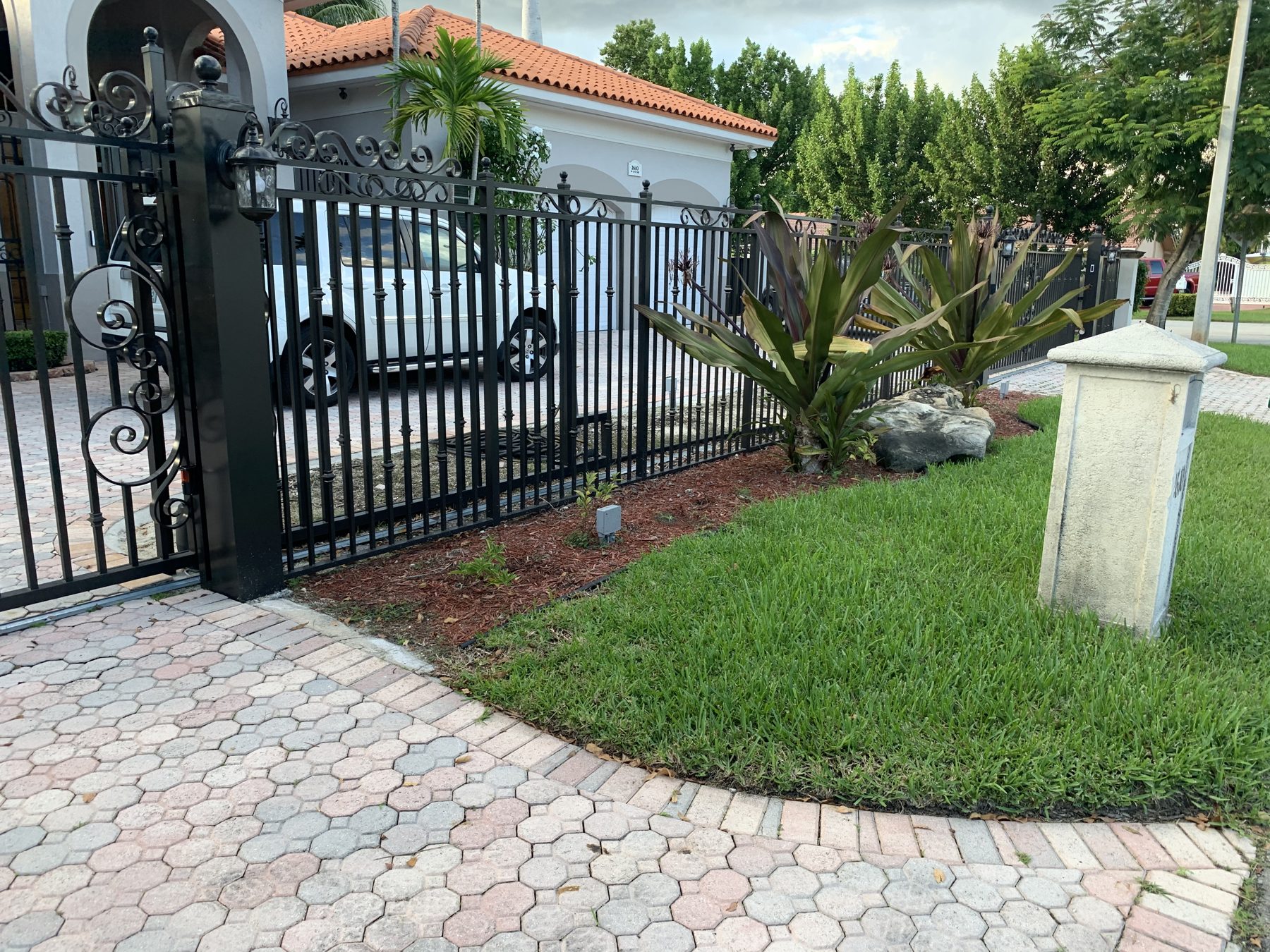Entry gate with lawn and specimen palm